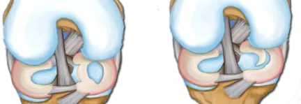 clinicában