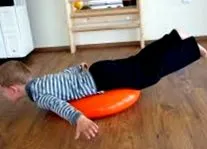 gyöngyössolymos здравен