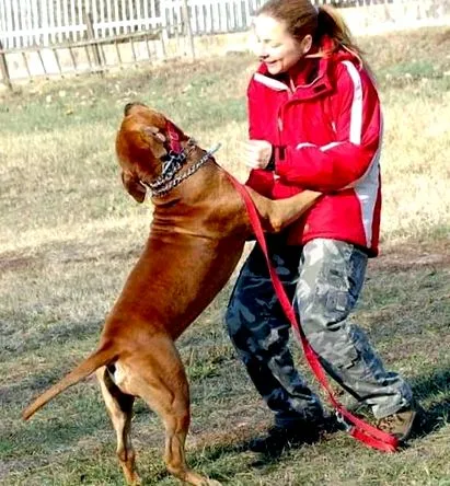 новини първенство