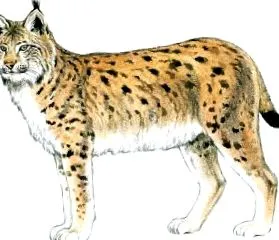 Biológiai Tanszék