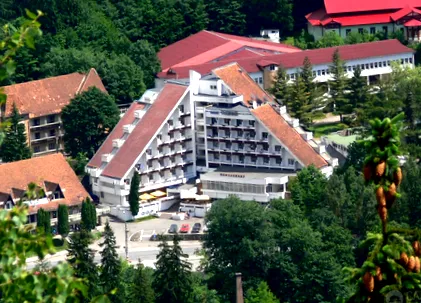 tették