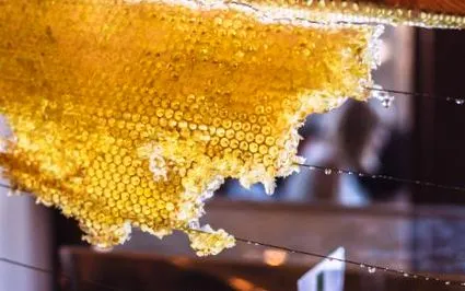 nectar
