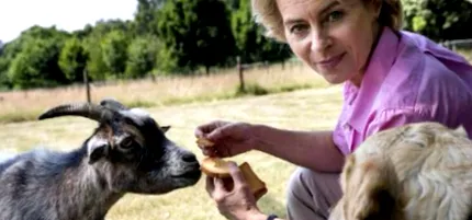 leyen