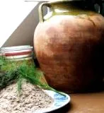tekvicové