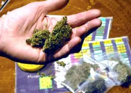 kannabisz-kereskedőnek