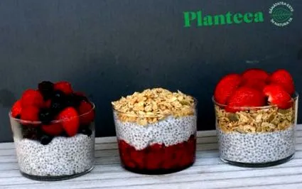 planteea