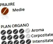 creamy espresso