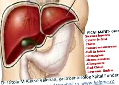 patogenezis