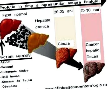 evolúció