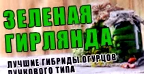 купують