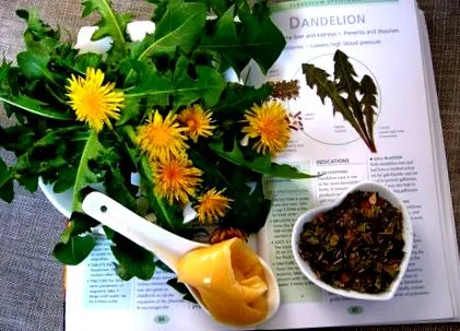 kyseliny močovej