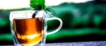 menta