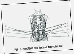 termékek