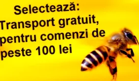 какао