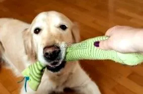 догляд