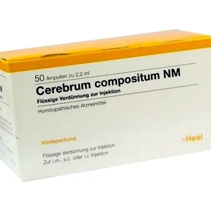 cerebrum compositum