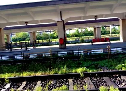 katasztrófaszámok
