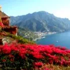 capri