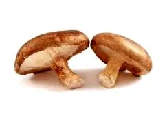 kapszula vita