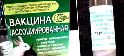 mikor