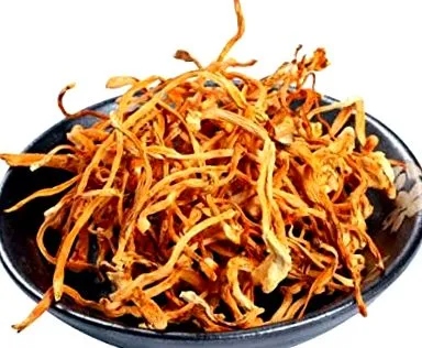cordyceps