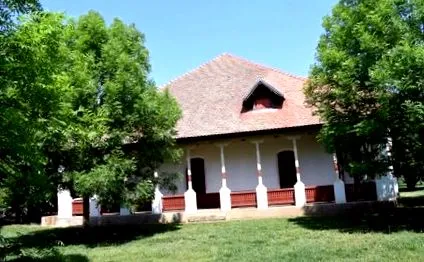új-román
