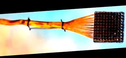 mikrochip