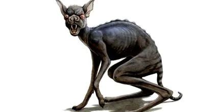 ktoré