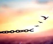 duci revolution