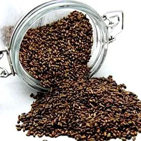 nyei cassia