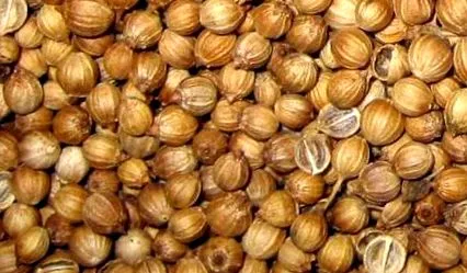 ízlés