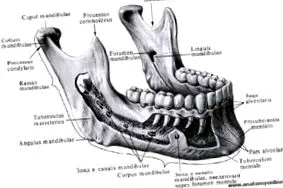 elmozdulásának