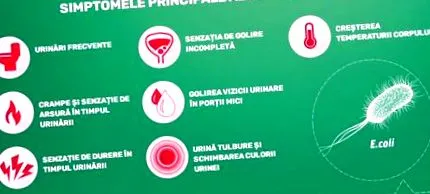 cyto леток