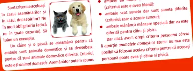 éves párbeszéde