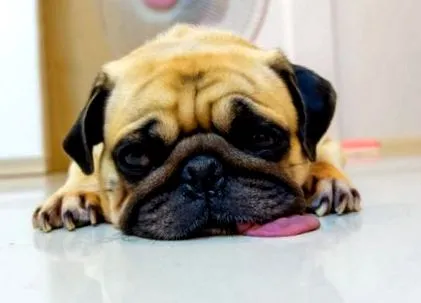 depressziója