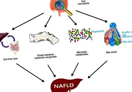 dysbiosis