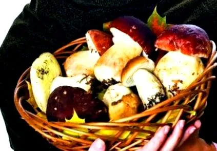 печурки