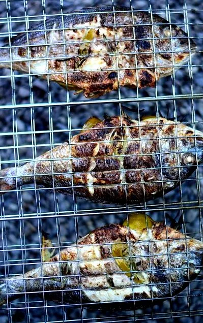 rozmaringgal tengeri