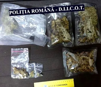 блиску