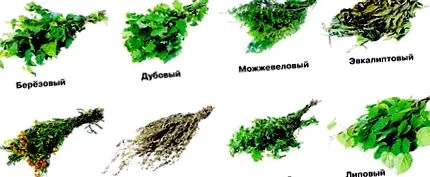 баня баня