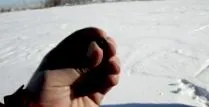február