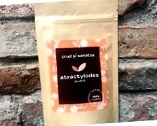 atractylodes
