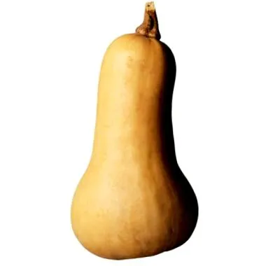dolgot sütőbe