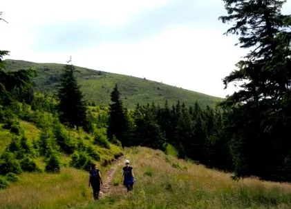 пешачење