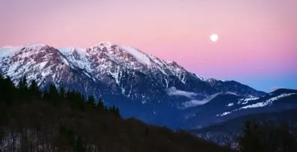 дневник