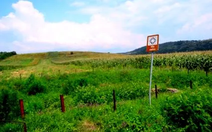 загадкова