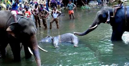 kerala