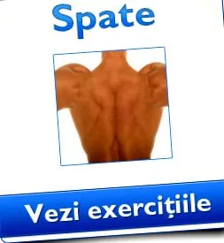 вежби вежби вклучуваат