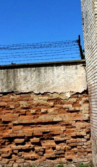 kizárólagos kizárólagos