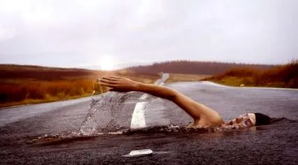 кога спорт